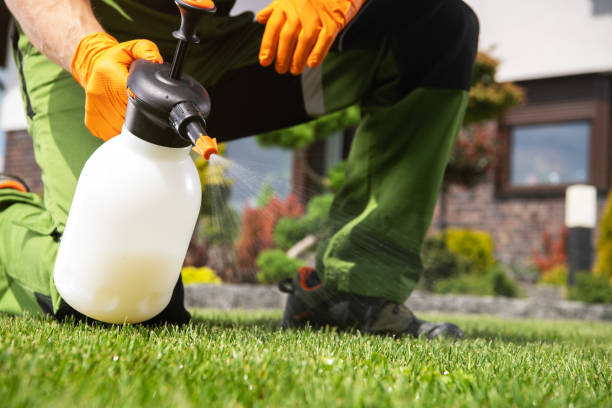 Best Emergency Pest Control  in Mason City, IA